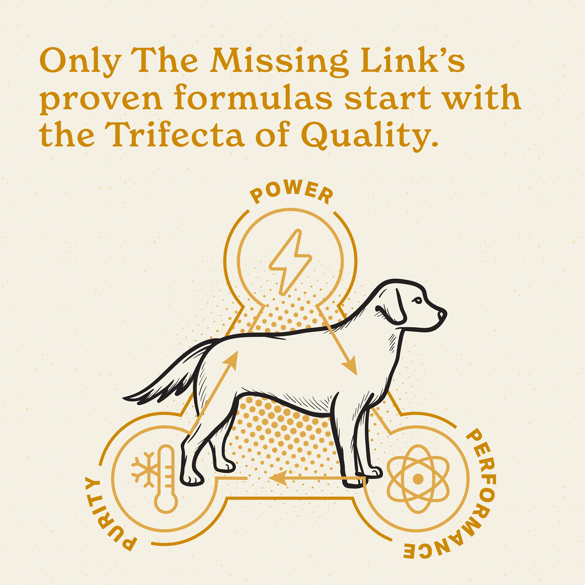 The Missing Link® Original Skin & Coat Powder Supplement for All Adult Dogs – 1 lb