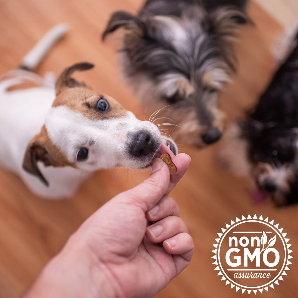 The Missing Link Collagen Care pet chews "Calm & Focus" non-gmo assurance.