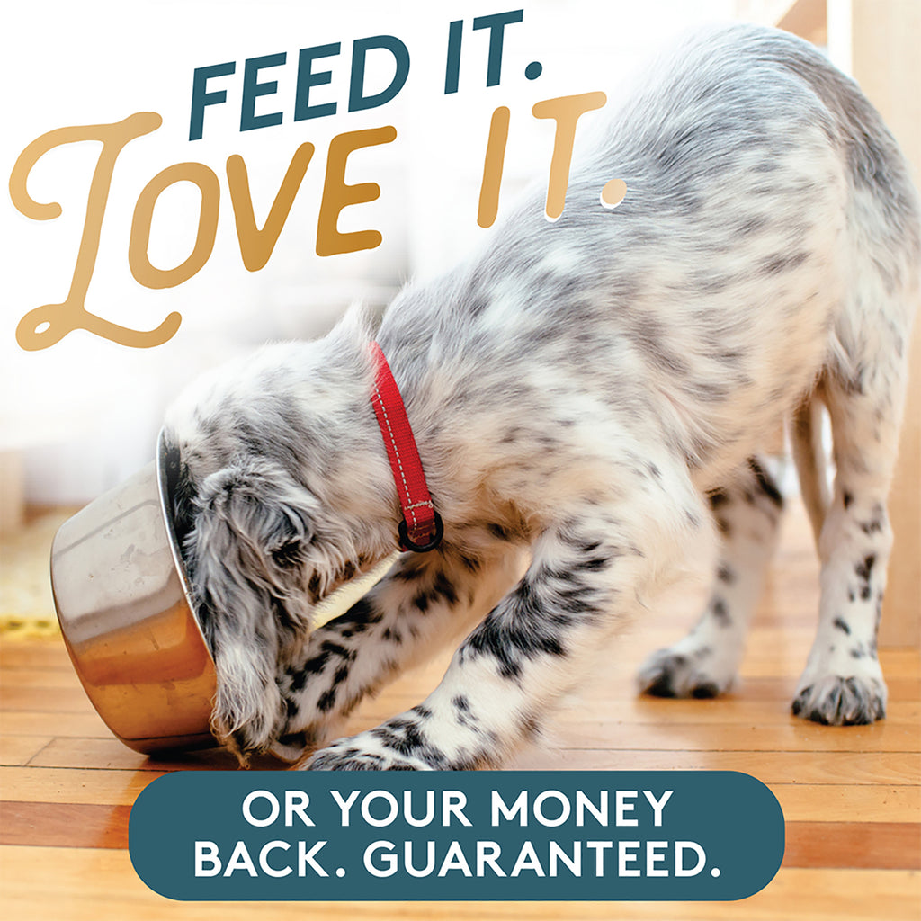 The Missing Link Puppy supplement, feed it, love it or your money back guaranteed.