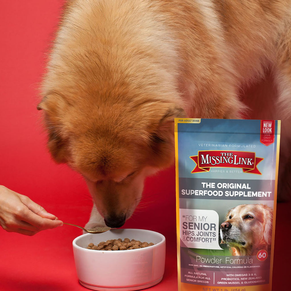 The Missing Link Senior superfood supplement.  For my senior dogs hips and joints comfort.