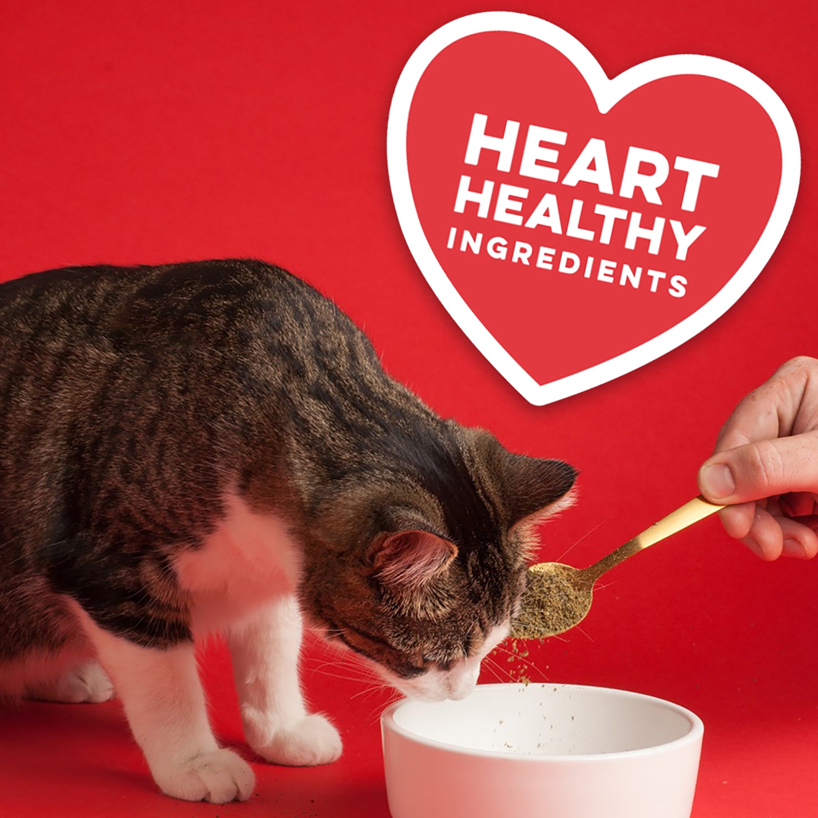 The Missing Link feline supplement contains heart healthy ingredients.