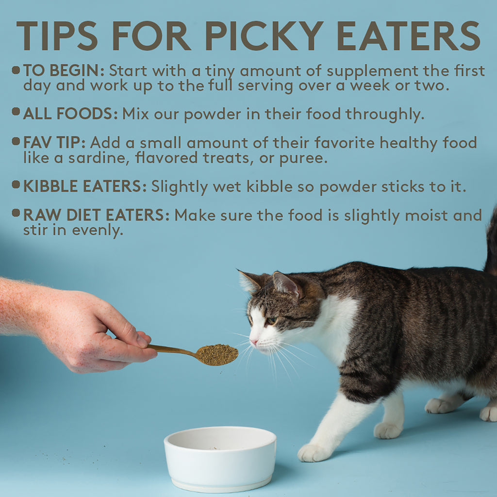 Missing Link feline supplement tips for picky eaters.